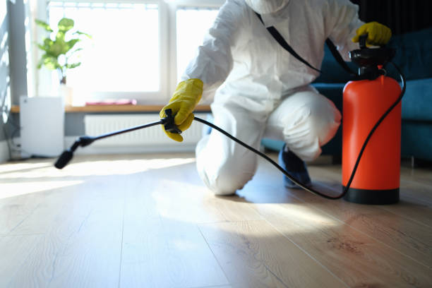 Reliable Odor Removal contractor in Beverly Hills, TX by Trauma Clean Pros